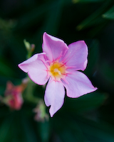 image id #16 with 945 views