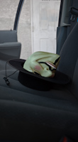 image id #27 with 962 views