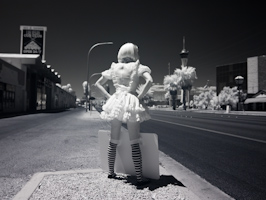 image id #67 with 949 views