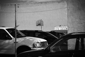 image id #20 with 908 views