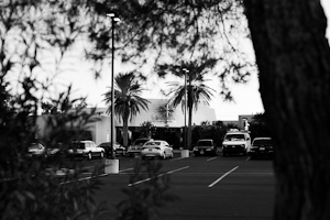 image id #29 with 945 views