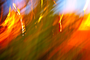 image id #31 with 842 views